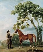 George Stubbs, Lord Grosvenor's Arabian Stallion with a Groom